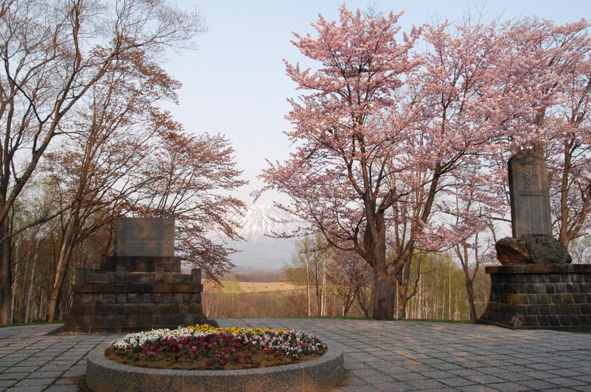 Niseko Highland Cottages Dış mekan fotoğraf