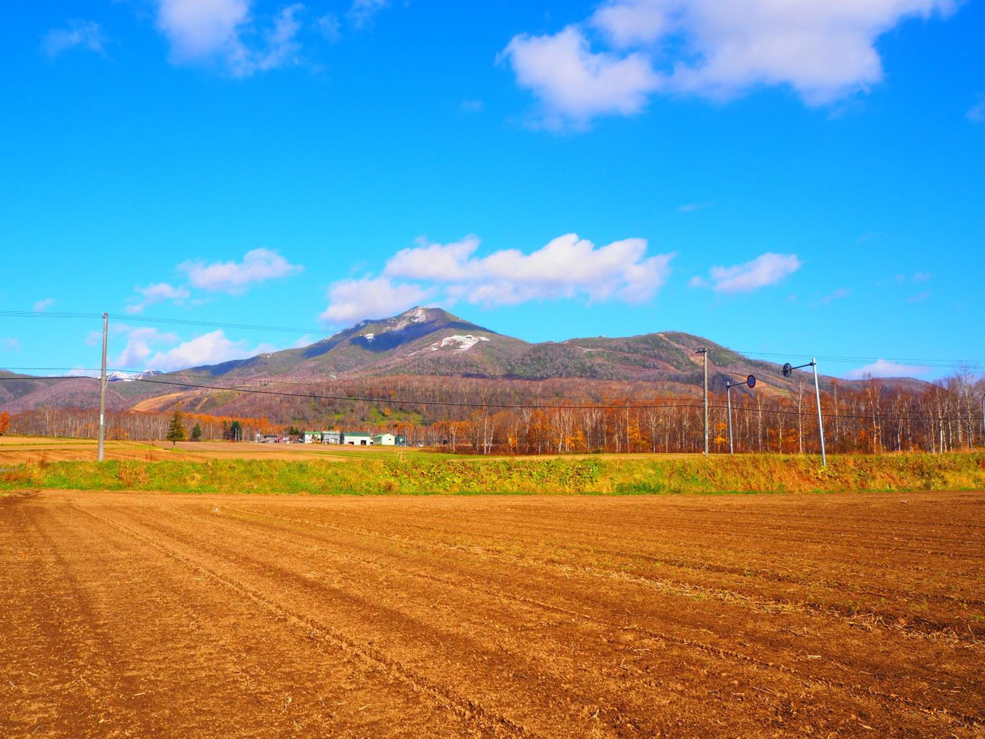 Niseko Highland Cottages Dış mekan fotoğraf